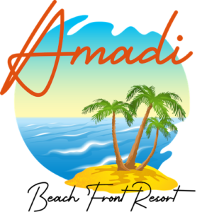 Amadi-Logo-Color-copy